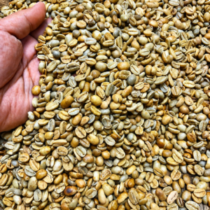 Green Arabica Coffee Beans | 100% Pure Unroasted Coffee Beans