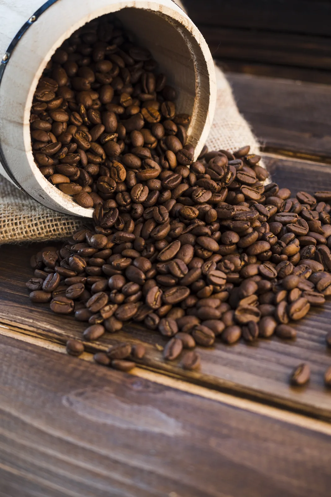 Dry robusta coffee beans after hulling